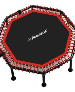 Трамплин Pegasus 122 см., осмоъгълен