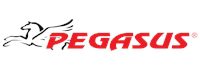 Diassport — Dias Sport Лого на Pegasus