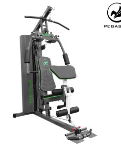 Гладиатор с тежести Pegasus® HG2