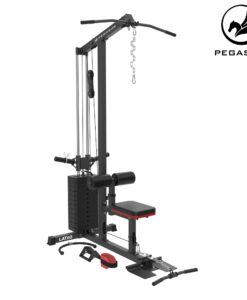 Pegasus® Lat Pull Down/ Low Row Lat-60 Gladiator