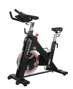 Alternative view of Pegasus® PG5 Spinbike