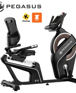 Cicloergómetro Pegasus® B15